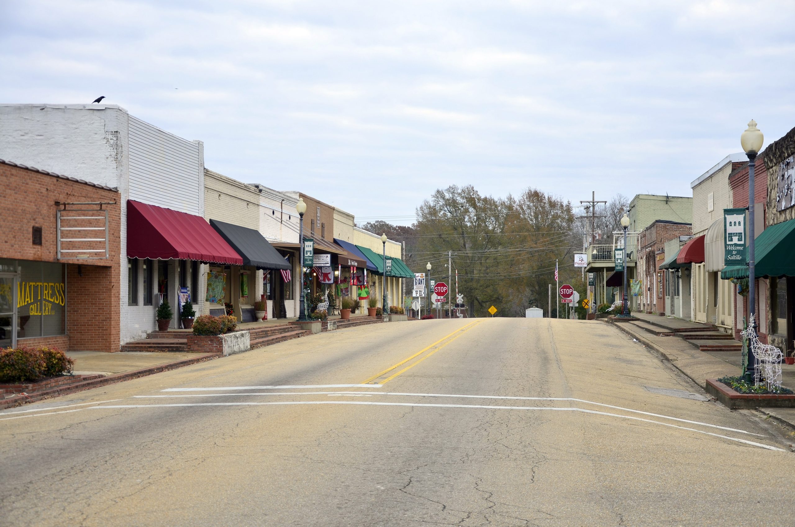 Remodeling contractor Saltillo MS